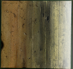 'The Wall' - Prosenjit Sengupta - Acrylic - 26" x 25"